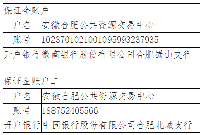 安巢经开区国瑞智慧产业园一期工程施工